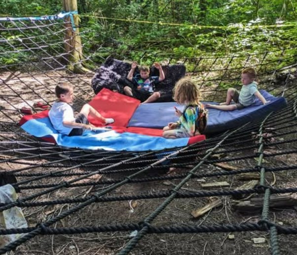 Tree School Discovery